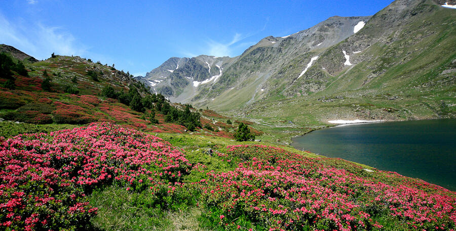 POINT INFORMATION MONTAGNE