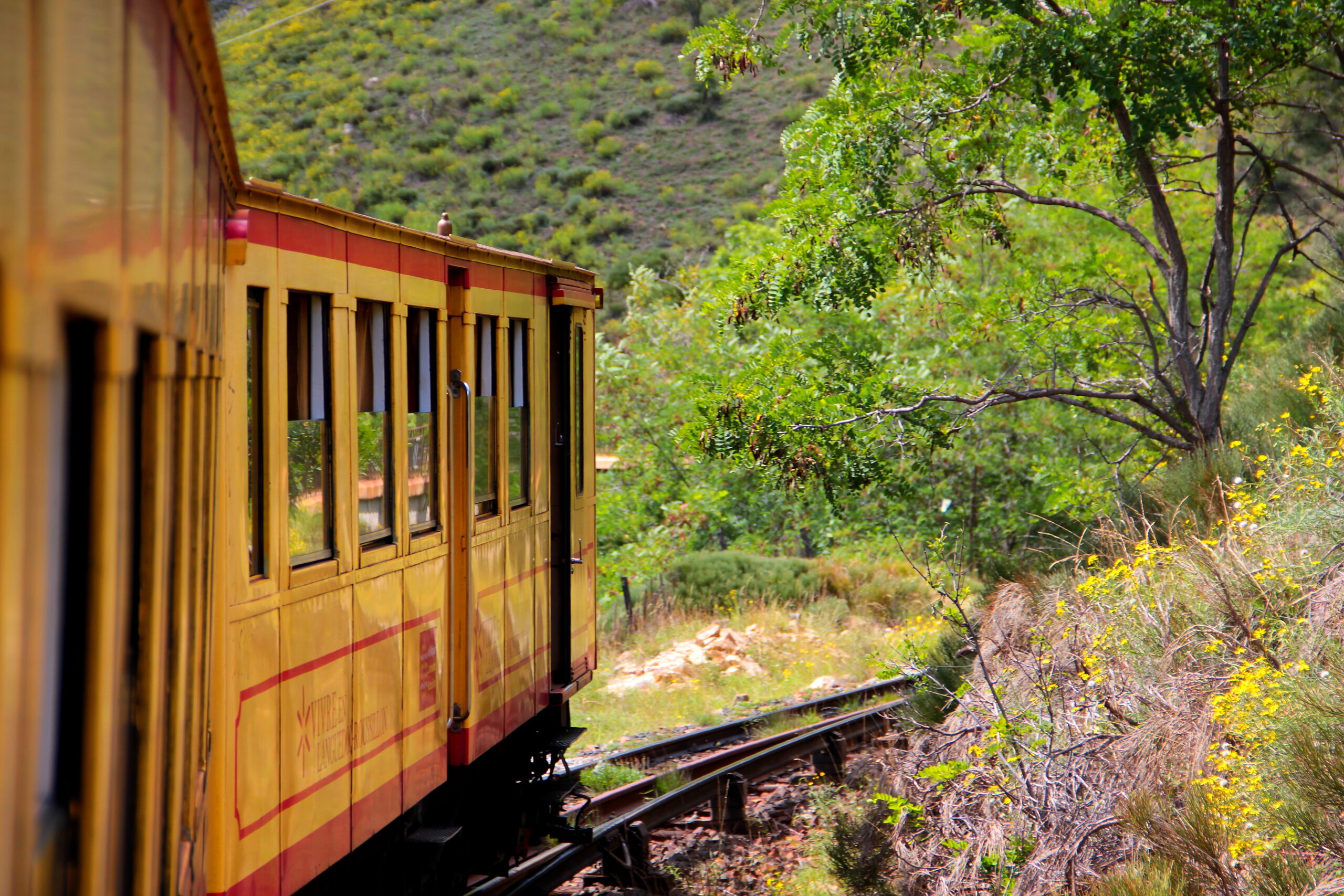 EL TREN AMARILLO