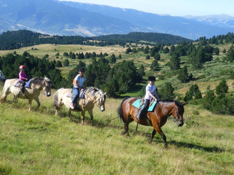CHEVAL LOISIRS PROMENADES