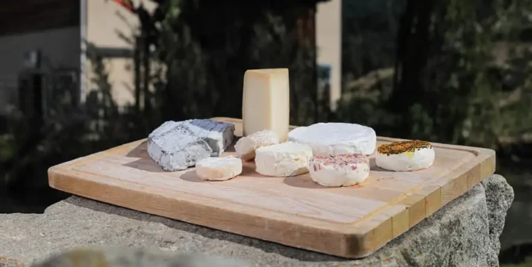 FERME GAEC DOURMIDOU – MATEMALE