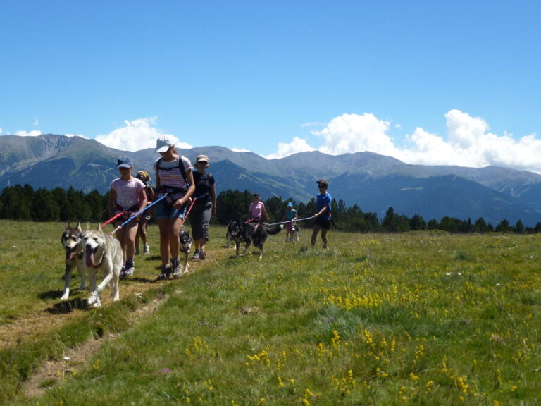 CANI-MARCHE – HUSKY EVASION